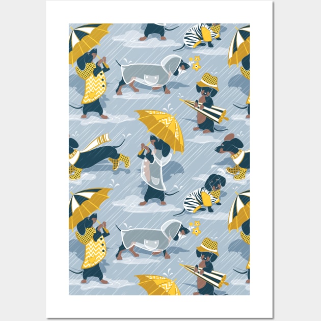 Ready For a Rainy Walk // pattern // pastel blue background dachshunds dogs with yellow and transparent rain coats Wall Art by SelmaCardoso